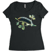 natura animal Women's Triblend Scoop T-shirt