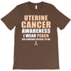 Uterine Cancer Awareness I Wear Peach For Some Special To Me T-Shirt