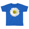 daisy Toddler T-shirt