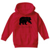 Little Dipper Youth Hoodie