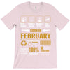 Born February Multitasking Problem Solving Tees T-Shirt
