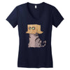 cat in the box! Women's V-Neck T-Shirt