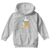 i was normal cats Youth Hoodie