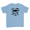 shark chart light blue t shirt Youth Tee