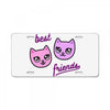 best friends License Plate