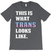 This is What Trans Looks Like T-Shirt