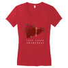 liver cancer awareness Women's V-Neck T-Shirt
