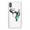 Kung Fu Panda iPhoneX