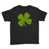 irish (2) Youth Tee