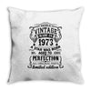Vintage 1973 Throw Pillow