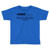Feminist Noun Toddler T-shirt