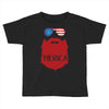 america 3 Toddler T-shirt