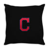 alphabet C Throw Pillow