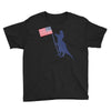 Patriotic T-Rex Youth Tee