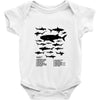 shark chart Baby Onesie
