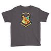 republic bending school Youth Tee