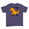 licensed to carry small arms Youth Tee