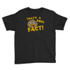 rock fact Youth Tee