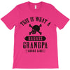 This Is What A Bad Ass Grandpa Looks Like T-Shirt