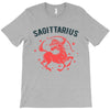sagittarius zodiac T-Shirt