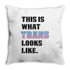 This is What Trans Looks Like Throw Pillow