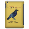 team damon salvatore iPad Mini
