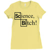 science bitch (2) Ladies Fitted T-Shirt