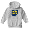 ohio for michigan Youth Hoodie