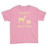 vacation, alpaca bag Youth Tee