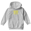 i'm the crazy aunt everyone warned you about Youth Hoodie