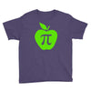 apple pi Youth Tee