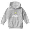 challenge stoplight Youth Hoodie
