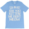 are you kitten me right meow T-Shirt