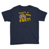 rock fact Youth Tee