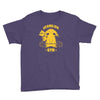 vermilion gym Youth Tee