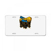 plastic debris License Plate