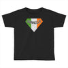donnelly irish superhero Toddler T-shirt