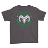 randy  the ram  robinson (2) Youth Tee