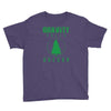 gravity falls oregon pine Youth Tee