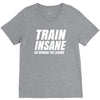 Train Insane Or Remain The Same V-Neck Tee