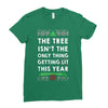 merry litmas Ladies Fitted T-Shirt