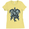winter is coming (2) Ladies Fitted T-Shirt