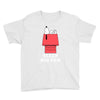 Sleep Big Fan Youth Tee