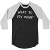 what do you mean 2016 tour 3/4 Sleeve Shirt