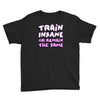 train insane or remain the same Youth Tee
