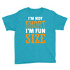 I Am Not Short I Am Fun Size Youth Tee