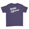 mildly offensive Youth Tee