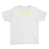 scratch wars star wars dj Youth Tee