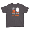 i'm the crazy cat lady Youth Tee