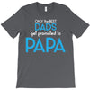 Only the Best Dads get Promoted to Papa T-Shirt